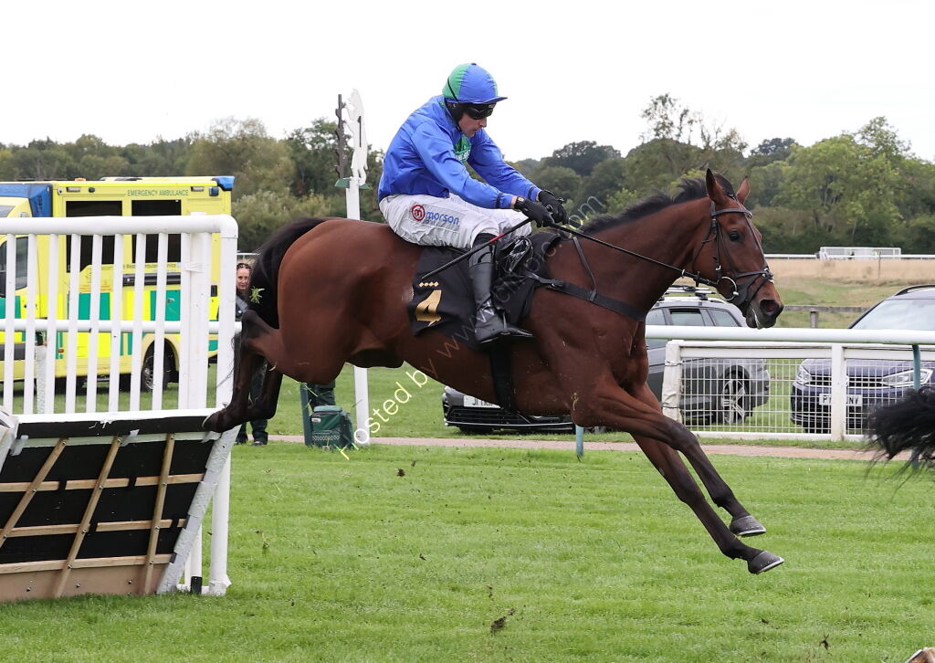 Pricedup Nov Hurdle Div 2