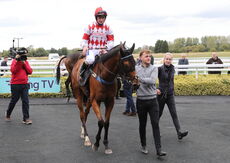 Pricedup Nov Hurdle Div 2