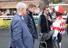 Pricedup Nov Hurdle Div 2