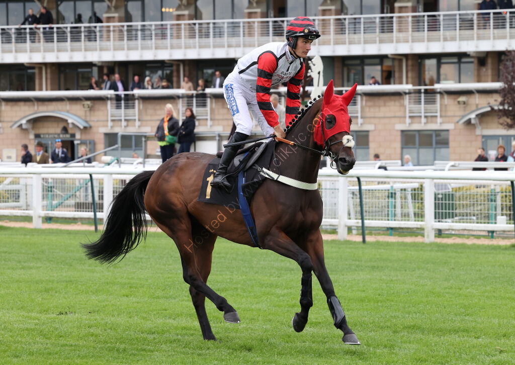 Pricedup Bet Mares' H'cap Hurdle