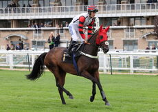 Pricedup Bet Mares' H'cap Hurdle