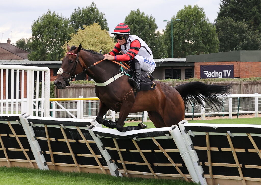 Pricedup Bet Mares' H'cap Hurdle