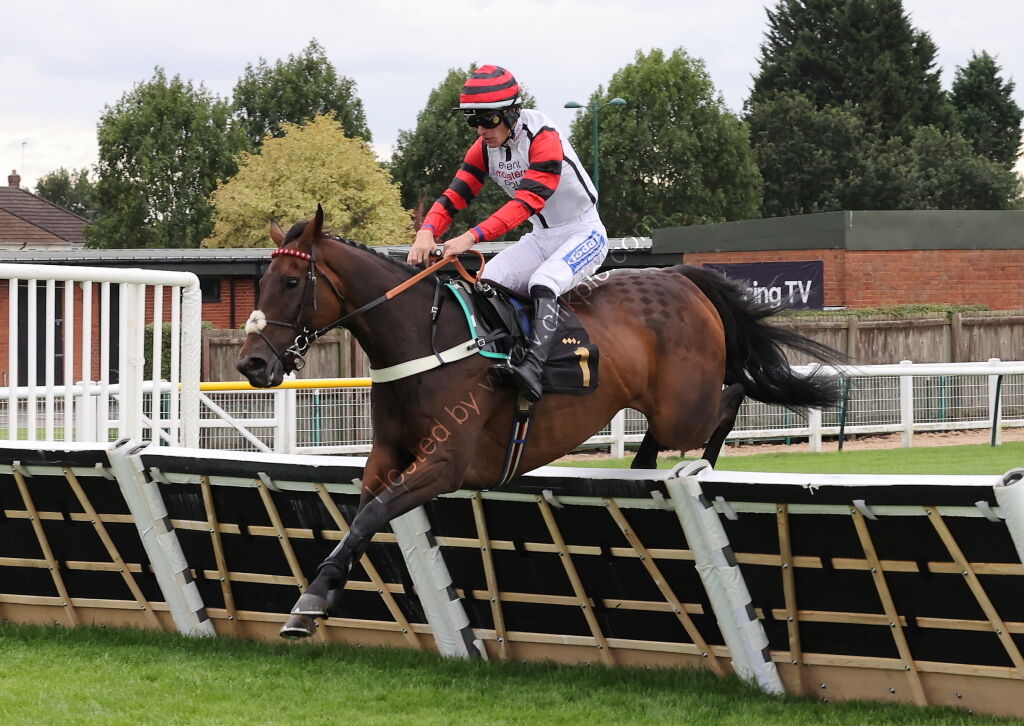 Pricedup Bet Mares' H'cap Hurdle