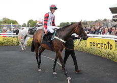 Pricedup Bet Mares' H'cap Hurdle
