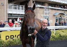 Pricedup Bet Mares' H'cap Hurdle