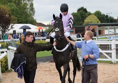 Paul Fergusons Jumpers To Follow Handicap Chase