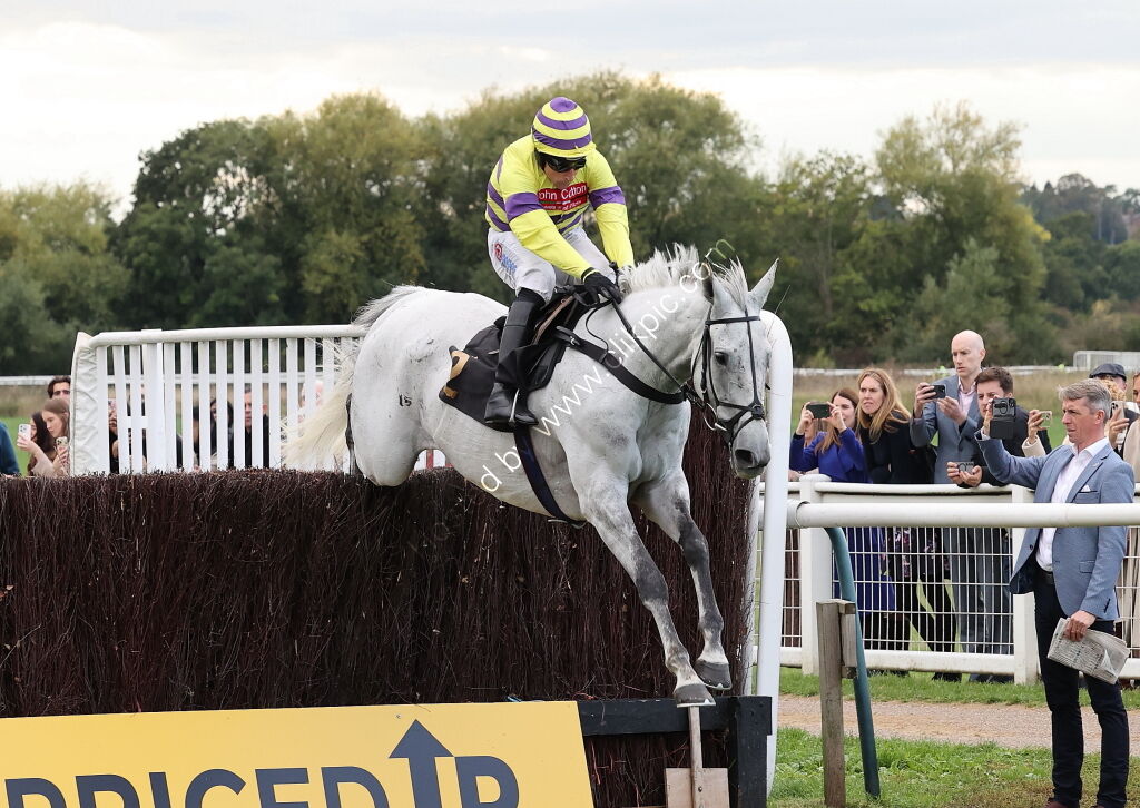 Paul Fergusons Jumpers To Follow Handicap Chase