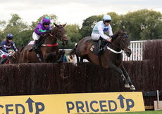 Paul Fergusons Jumpers To Follow Handicap Chase