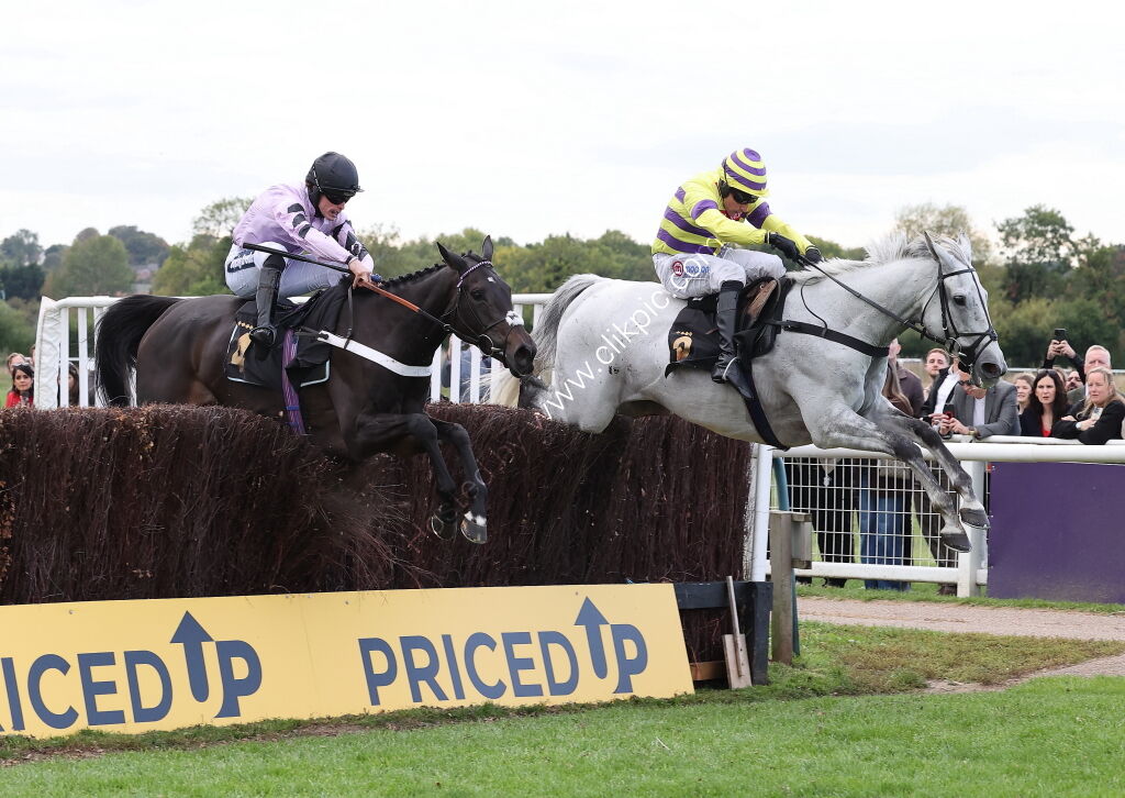 Paul Fergusons Jumpers To Follow Handicap Chase