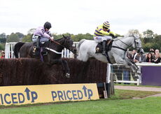 Paul Fergusons Jumpers To Follow Handicap Chase