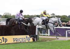 Paul Fergusons Jumpers To Follow Handicap Chase