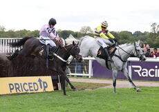 Paul Fergusons Jumpers To Follow Handicap Chase