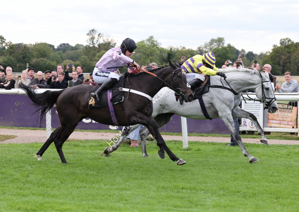 Paul Fergusons Jumpers To Follow Handicap Chase