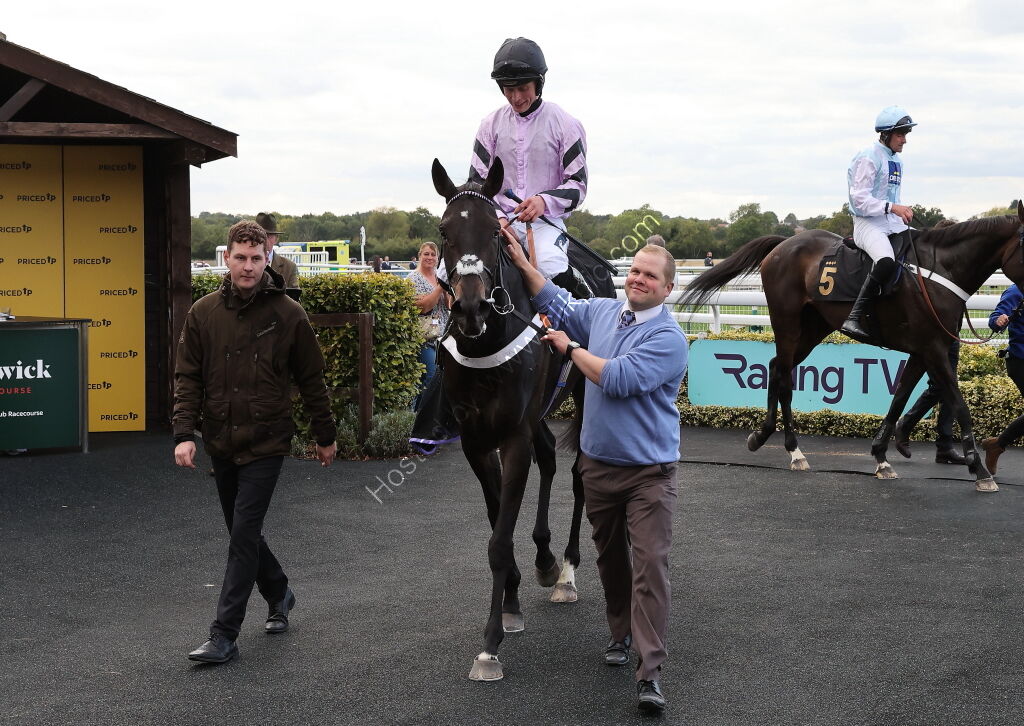 Paul Fergusons Jumpers To Follow Handicap Chase