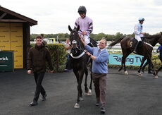 Paul Fergusons Jumpers To Follow Handicap Chase