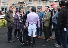 Paul Fergusons Jumpers To Follow Handicap Chase