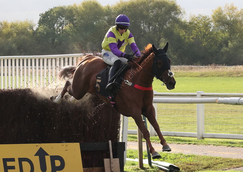 Propel Finance Nov H'cap Chase