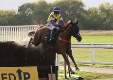 Propel Finance Nov H'cap Chase