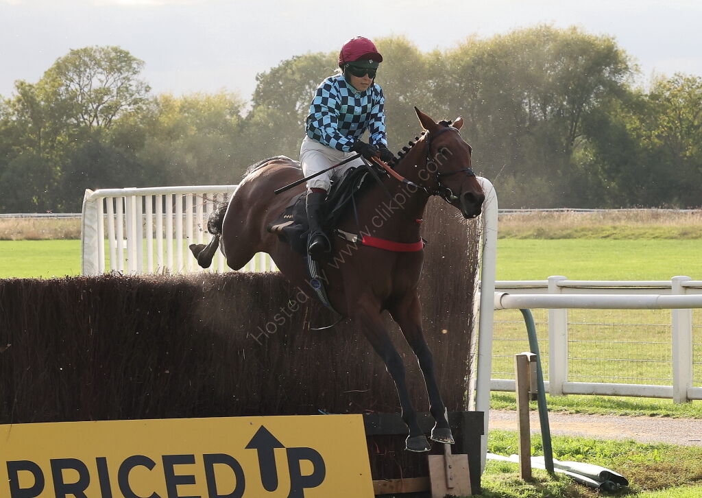 Propel Finance Nov H'cap Chase