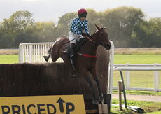 Propel Finance Nov H'cap Chase