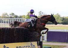 Propel Finance Nov H'cap Chase