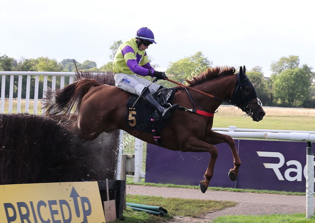 Propel Finance Nov H'cap Chase