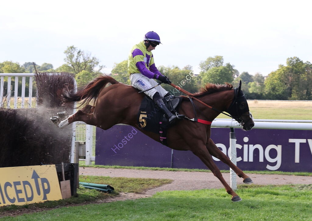 Propel Finance Nov H'cap Chase