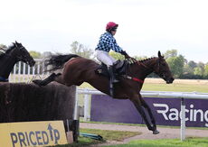 Propel Finance Nov H'cap Chase