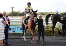 Propel Finance Nov H'cap Chase