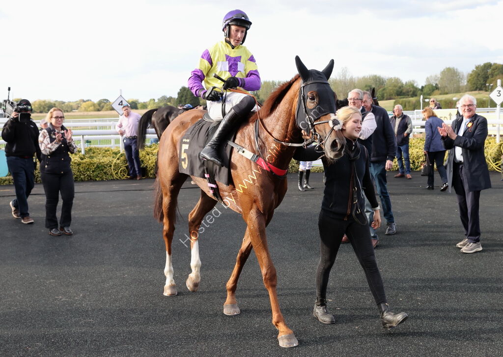 Propel Finance Nov H'cap Chase