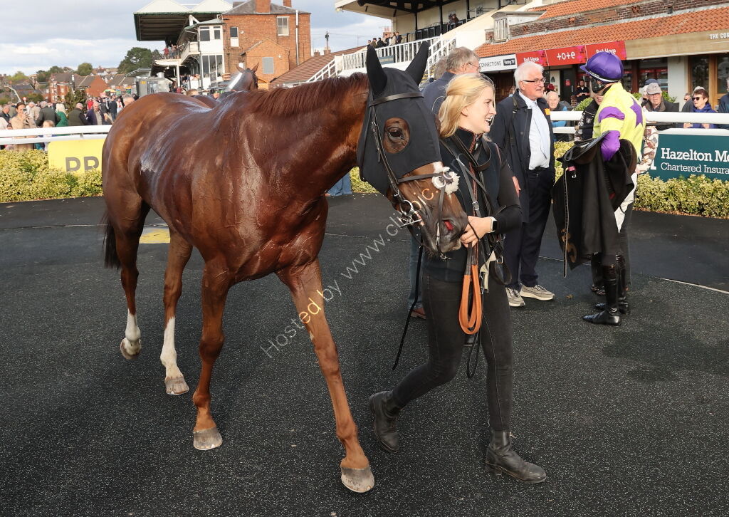 Propel Finance Nov H'cap Chase