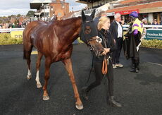 Propel Finance Nov H'cap Chase