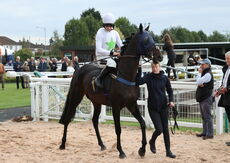 Molson Coors Handicap Hurdle