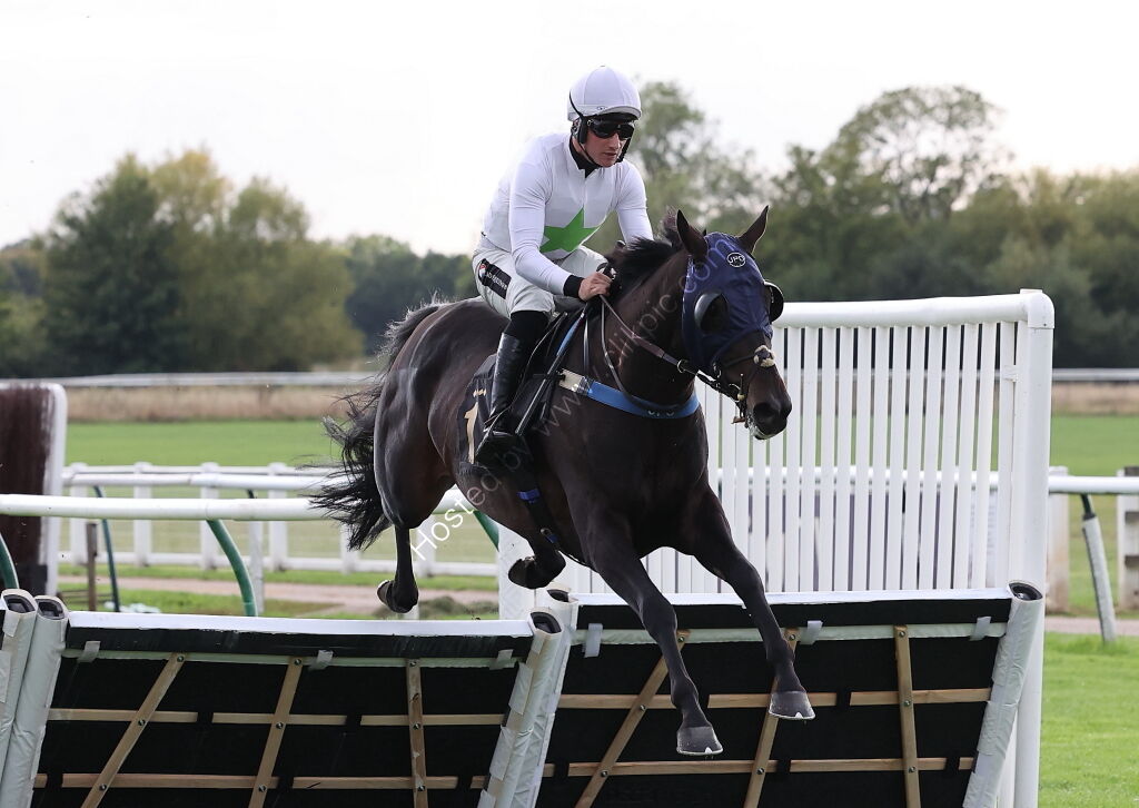 Molson Coors Handicap Hurdle