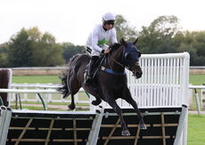 Molson Coors Handicap Hurdle