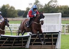 Molson Coors Handicap Hurdle