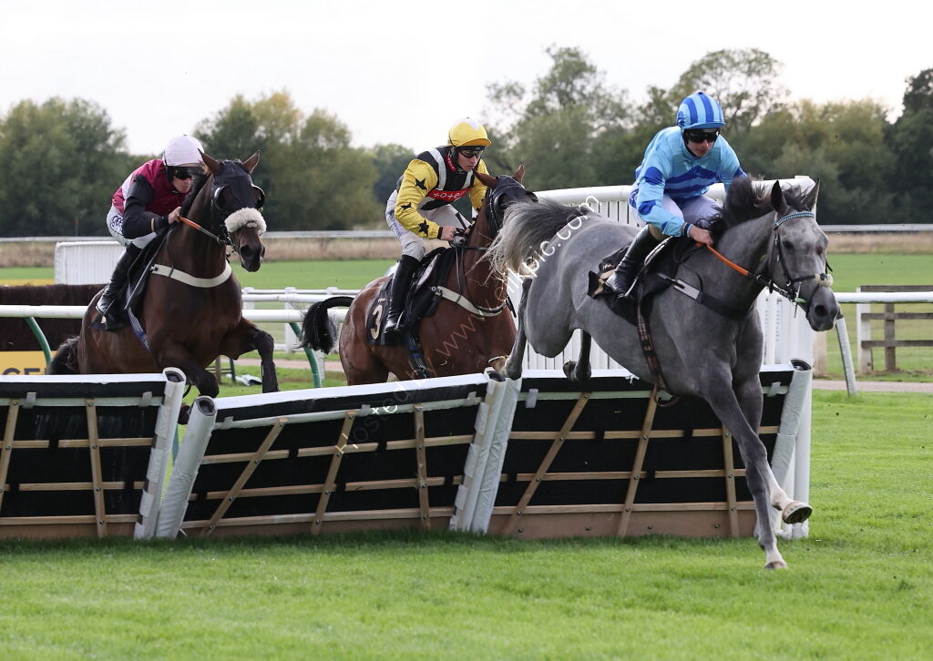 Molson Coors Handicap Hurdle