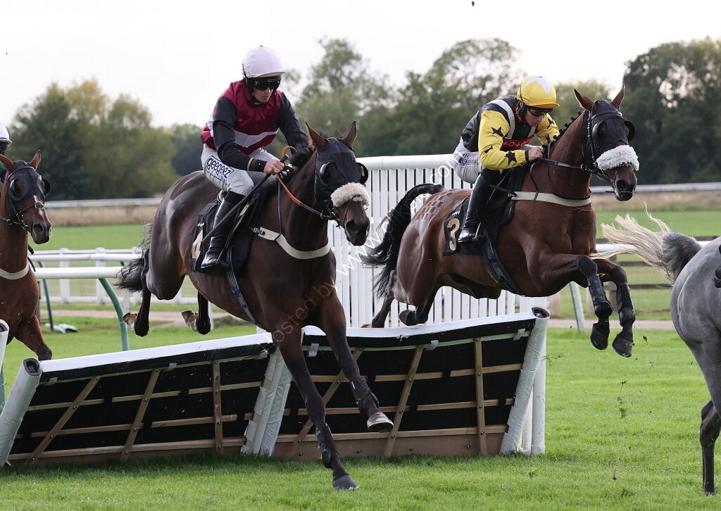 Molson Coors Handicap Hurdle