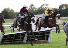 Molson Coors Handicap Hurdle