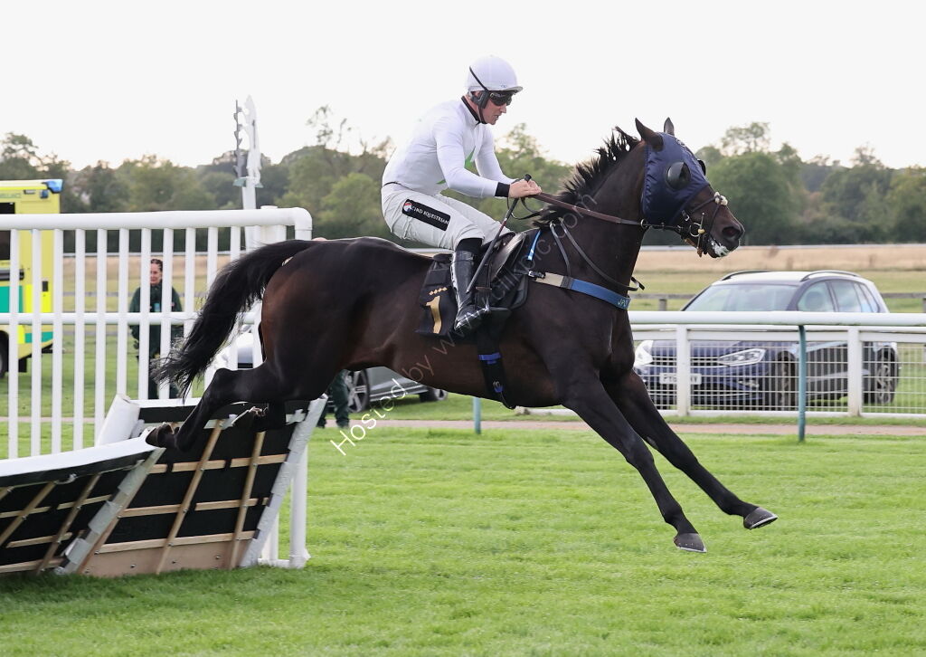 Molson Coors Handicap Hurdle