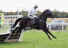 Molson Coors Handicap Hurdle