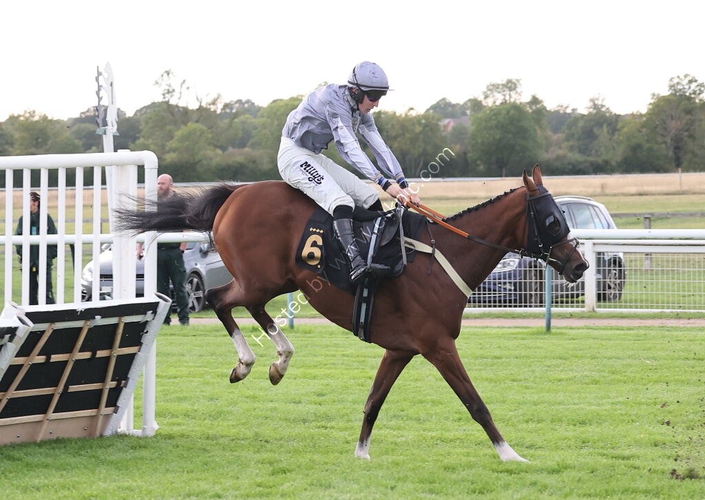 Molson Coors Handicap Hurdle