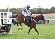 Molson Coors Handicap Hurdle