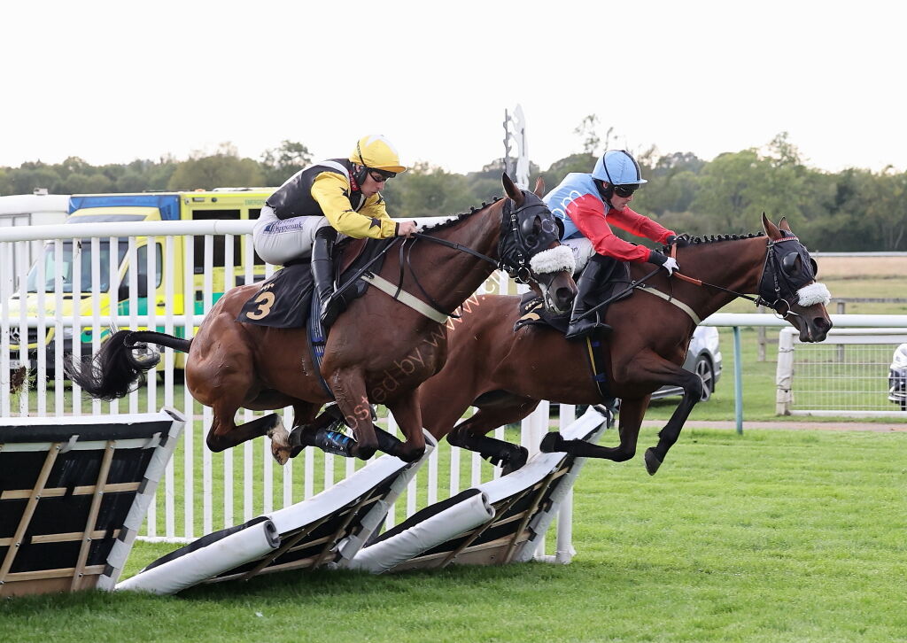 Molson Coors Handicap Hurdle