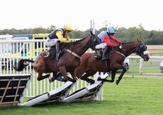 Molson Coors Handicap Hurdle