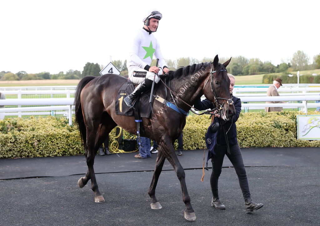 Molson Coors Handicap Hurdle