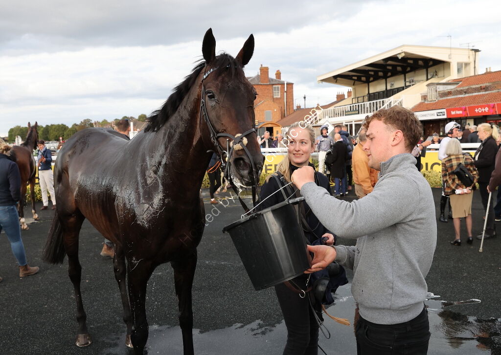 Molson Coors Handicap Hurdle