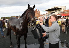 Molson Coors Handicap Hurdle
