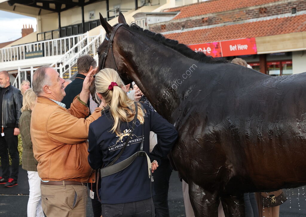 Molson Coors Handicap Hurdle