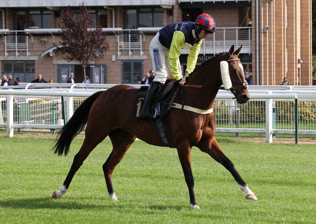 Redditch United Handicap Chase